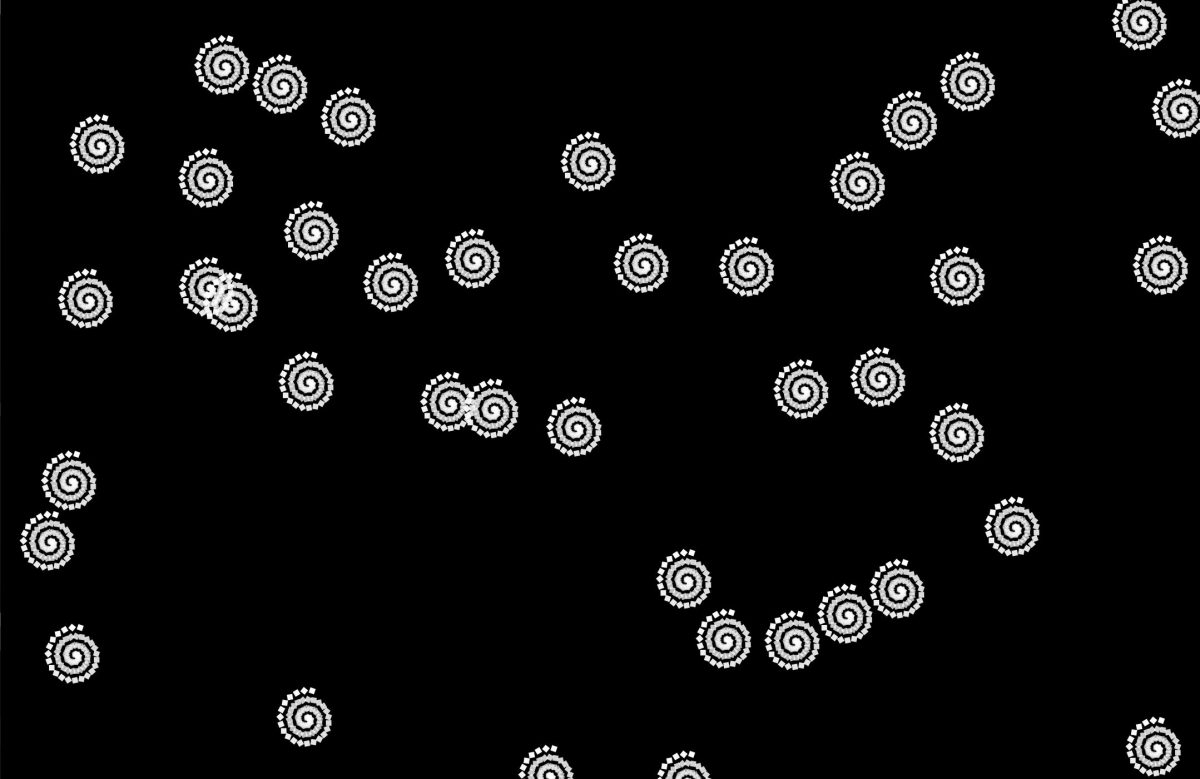 A number of white spirals on a black background.